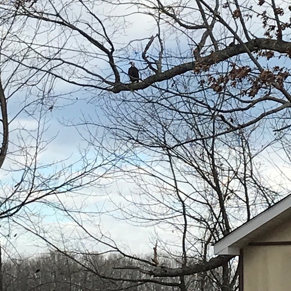 Meet your Posher, Carter - Picture 1 of 1